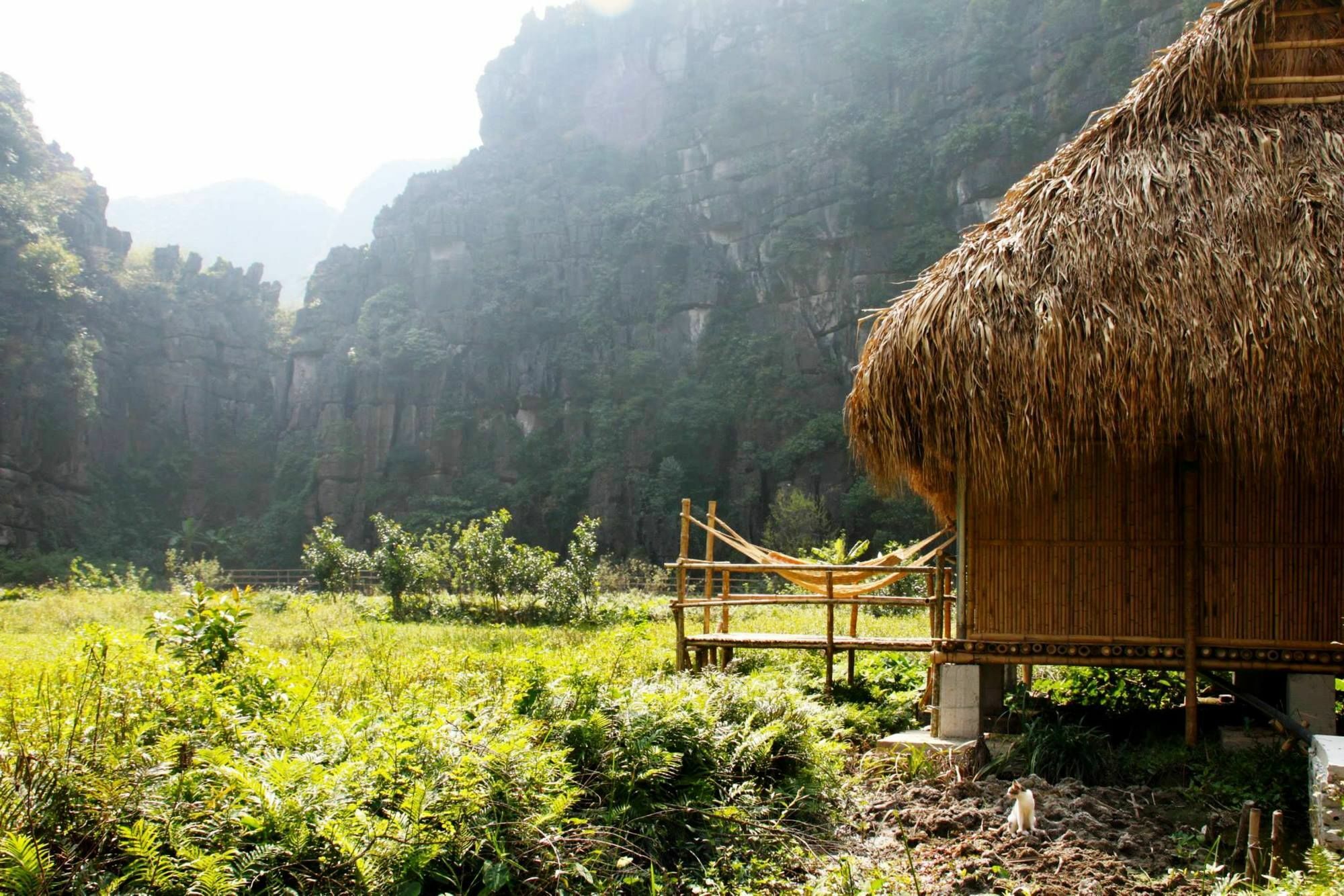 Ferienwohnung Nguyen Shack - Ninh Binh Exterior foto